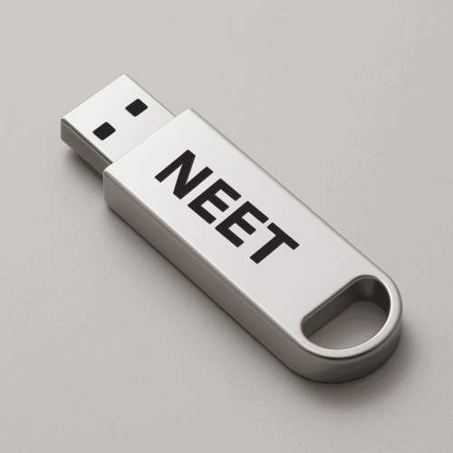 Via Pendrive